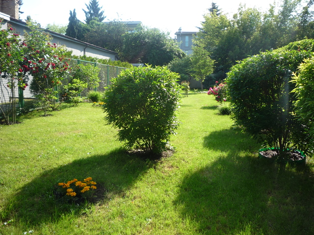 Karłowicza, 2015
