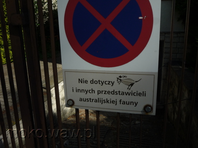 Pytlasińskiego, 2015