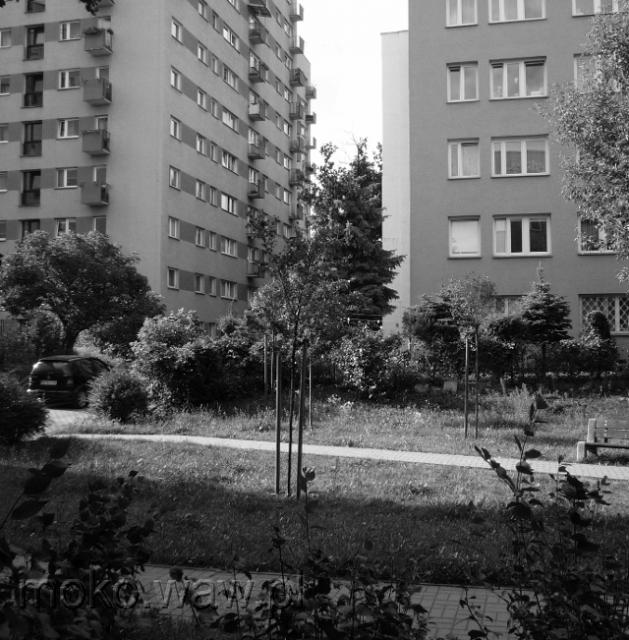 Konstancińska - 2015
