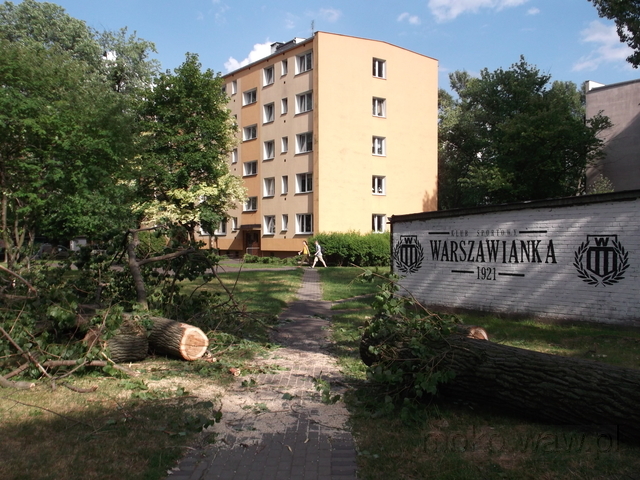 Piwarskiego, 2016
