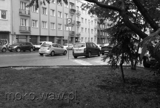Dolna, 2016