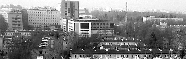 Wołoska, 2016
