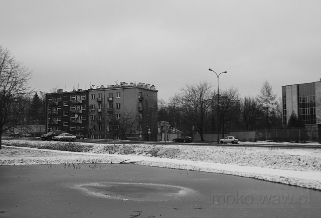 Spacerowa, 2017