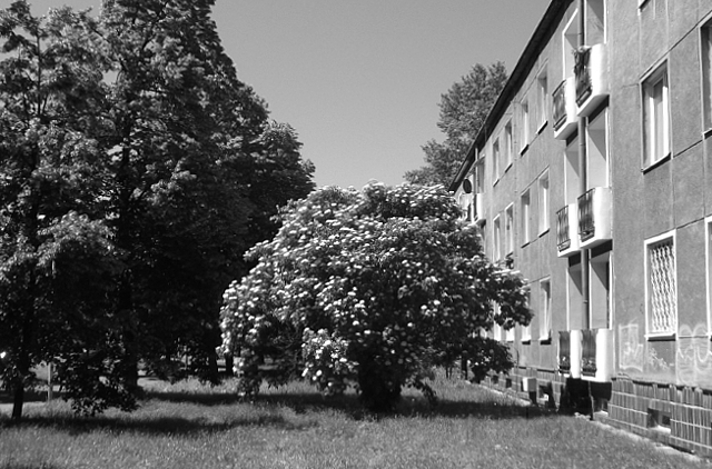 Gagarina, 2017