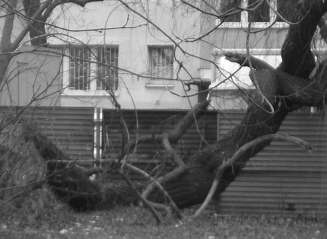 Bagatelka w środku, widok z 2018