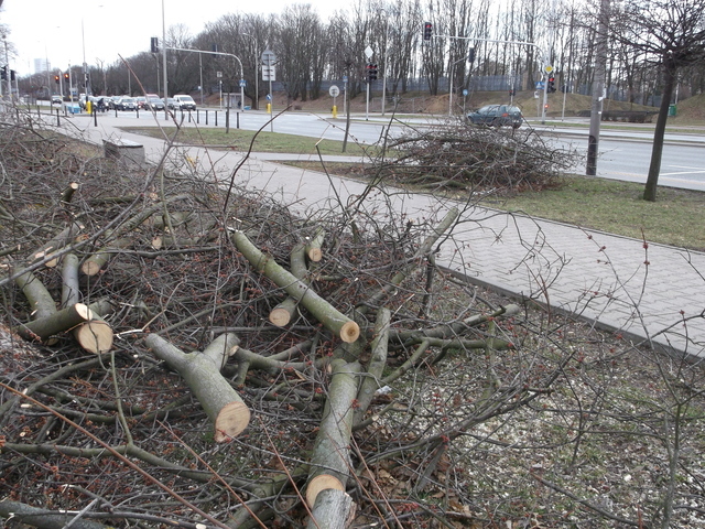 Racławicka, 2019