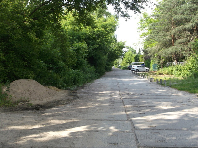Piaskarzy, 2019