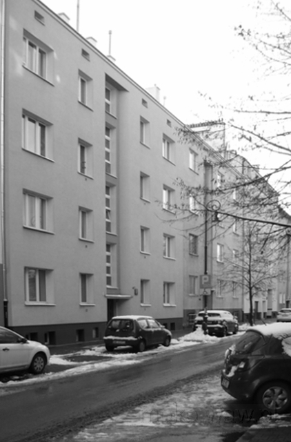 Różana, 2021