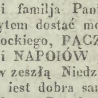 Pącz i pączki, 1841