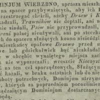 Dominjum Wierzbno uprasza, 1843