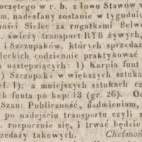 Karpie i szczupaki, 1843