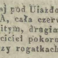 Zabłąkana krowa, 1844