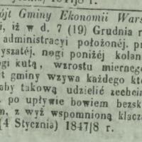 Maść myszata, morda czarna, 1848