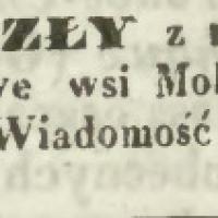 Dwa kozły rassy Szwajcarskiej, 1848