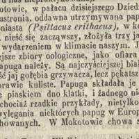 3 jaja, 1860
