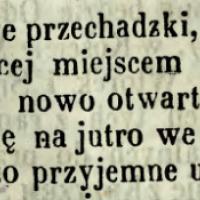 Zamiejskie majowe przechadzki, 1860