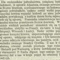 Popęd uprawie aliantusa, 1863