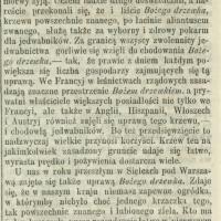 Boże drzewko, 1863