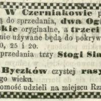 Ogiery na sprzedaż Ogiery na sprzedaż, 1863