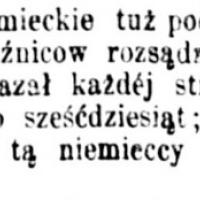 Naczelnik rozsądził, 1864