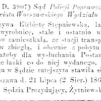 Zbiegła wyrobnica Zbiegła wyrobnica, 1864