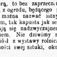 Włoszczyzna p. Marguerite, 1867