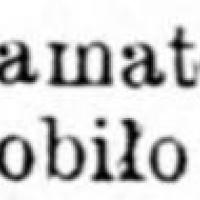 Wycieczka samochodowa, 1869