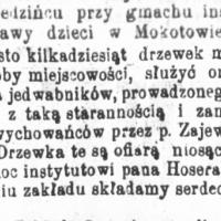 Drzewa morwowe, 1872