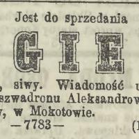 Do sprzedania ogier, 1872