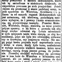 Powozem niepodobna, 1874