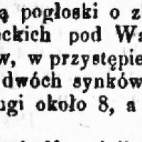 W przystępie obłąkania, 1874