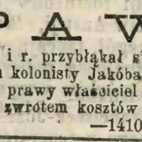 Przybłąkał się paw, 1878