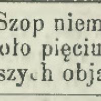 Przybłąkał się chłopczyk, 1879
