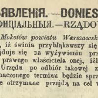 Świnia przy urzędzie, 1881
