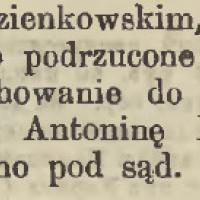 Podrzutek w szynku, 1882