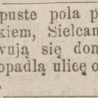 Puste pola, 1884