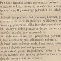 Jedwab do Medyolanu, 1887