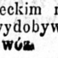 Szlam w cenie, 1889