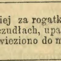 Na szczudłach, 1893