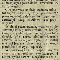 Wypłata pożarta, 1895