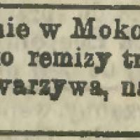 Letnie mieszkanie, 1897