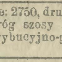 Place w sklepie, 1898