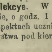 Przegląd warzyw, 1899