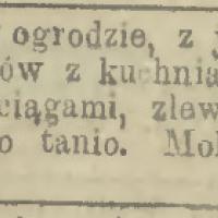Widok na Belweder, 1899