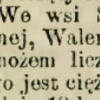 Krwawa bójka, 1900