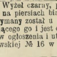 Wyżeł przytrzymany, 1902