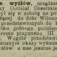 Konkurs wyżłów, 1903