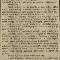 Kronika podróży, 1904