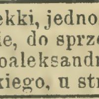 Powozik lekki, 1904