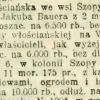 Licytacje, 1906